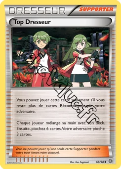 Carte Pokémon Top Dresseur n°69 de la série Origines Antiques