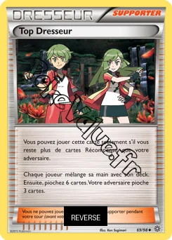 Carte Pokémon Top Dresseur Reverse n°69 de la série Origines Antiques