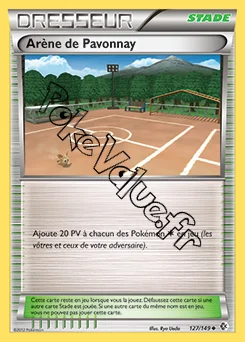 Carte Pokémon Arène de Pavonnay n°127 de la série Frontières Franchies