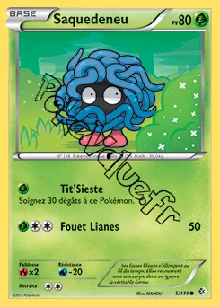 Carte Pokémon Saquedeneu n°5 de la série Frontières Franchies