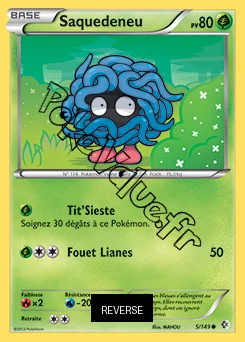 Carte Pokémon Saquedeneu Reverse n°5 de la série Frontières Franchies