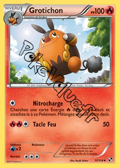 Carte Pokémon Grotichon n°17 de la série Noir et Blanc