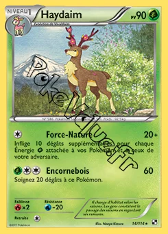 Carte Pokémon Haydaim n°14 de la série Noir et Blanc