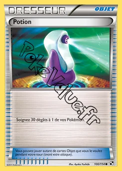 Carte Pokémon Potion n°100 de la série Noir et Blanc