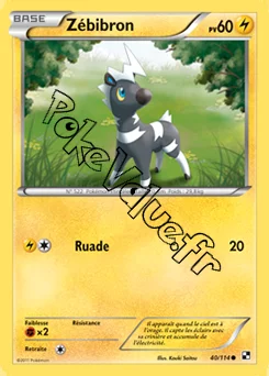 Carte Pokémon Zébibron n°40 de la série Noir et Blanc