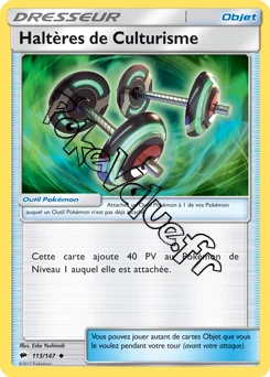 Carte Pokémon Haltères de Culturisme n°113 de la série Ombres Ardentes