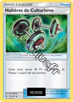 Carte Pokémon Haltères de Culturisme Reverse n°113 de la série Ombres Ardentes