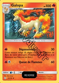 Carte Pokémon Galopa Reverse n°24 de la série Éclipse Cosmique