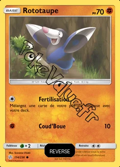 Carte Pokémon Rototaupe Reverse n°114 de la série Éclipse Cosmique