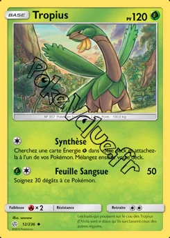 Carte Pokémon Tropius  n°12 de la série Éclipse Cosmique
