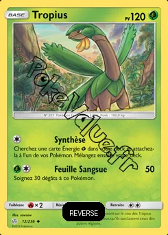 Carte Pokémon Tropius  Reverse n°12 de la série Éclipse Cosmique