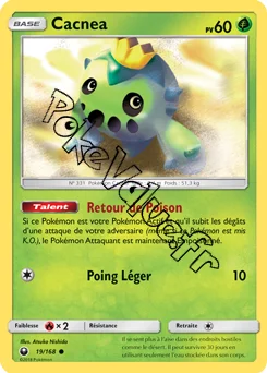 Carte Pokémon Cacnea  n°19 de la série Tempête Céleste