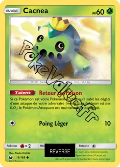 Carte Pokémon Cacnea  Reverse n°19 de la série Tempête Céleste