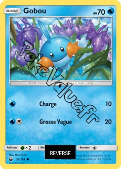 Carte Pokémon Gobou Reverse n°33 de la série Tempête Céleste