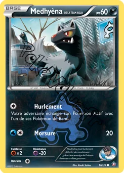 Carte Pokémon Team Aqua's Poochyena  n°16 de la série Double Danger