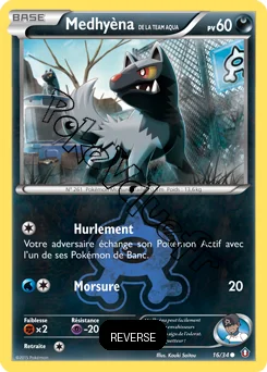 Carte Pokémon Team Aqua's Poochyena  Reverse n°16 de la série Double Danger