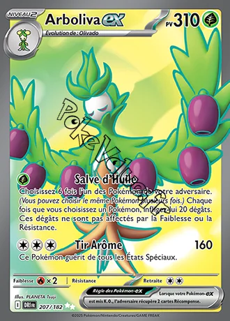 Carte Pokémon Arboliva ex  n°207 de la série Rivalités Destinées