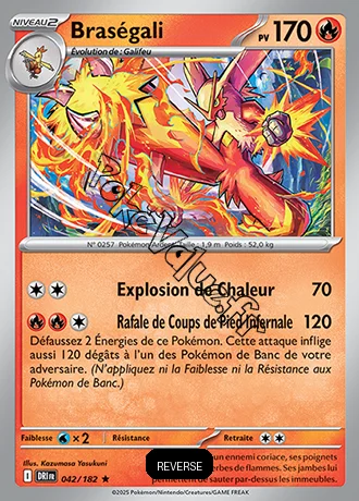 Carte Pokémon Braségali  Reverse n°042 de la série Rivalités Destinées