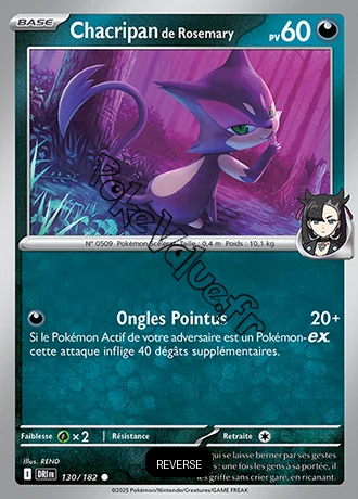 Carte Pokémon Chacripan de Rosemary  Reverse n°130 de la série Rivalités Destinées