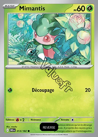 Carte Pokémon Mimantis  Reverse n°013 de la série Rivalités Destinées