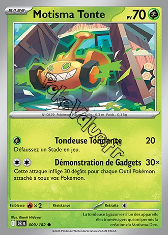 Carte Pokémon Motisma Tonte  n°009 de la série Rivalités Destinées