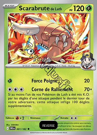 Carte Pokémon Scarabrute de Luth  Reverse n°001 de la série Rivalités Destinées