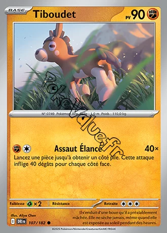 Carte Pokémon Tiboudet  n°107 de la série Rivalités Destinées