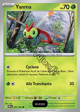 Carte Pokémon Yanma  Reverse n°002 de la série Rivalités Destinées