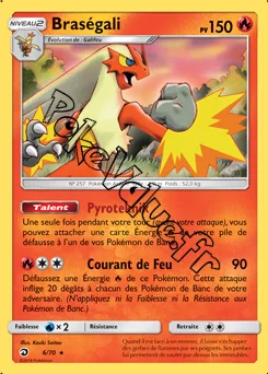Carte Pokémon Braségali n°6 de la série Majesté des Dragons