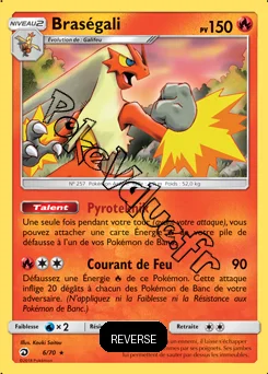Carte Pokémon Braségali Reverse n°6 de la série Majesté des Dragons