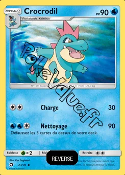 Carte Pokémon Crocrodil Reverse n°23 de la série Majesté des Dragons
