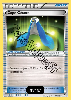 Carte Pokémon Cape Géante Reverse n°114 de la série Dragons Exaltés