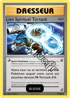 Carte Pokémon Lien Spirituel Tortank Reverse n°73 de la série Évolutions