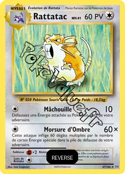 Carte Pokémon Raticate  Reverse n°67 de la série Évolutions