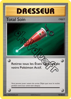 Carte Pokémon Total Soin n°78 de la série Évolutions