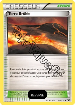 Carte Pokémon Terre Brûlée Reverse n°110 de la série Impact des destins