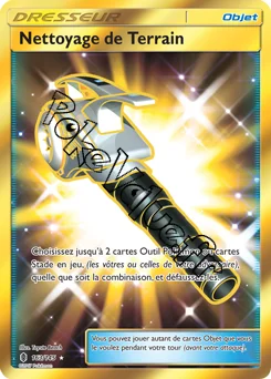 Carte Pokémon Nettoyage de Terrain n°163 de la série Gardiens Ascendant