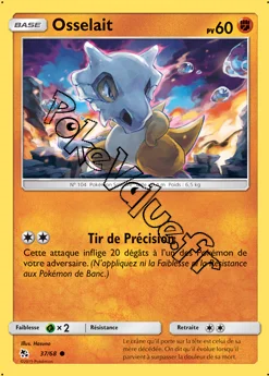 Carte Pokémon Osselait n°37 de la série Destinées Occultes