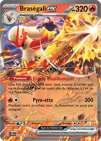 Carte Pokémon Braségali ex  n°024 de la série Aventures Ensemble