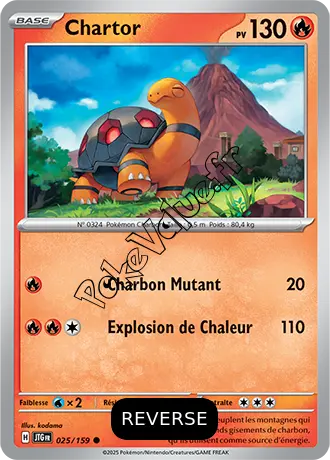 Carte Pokémon Chartor  Reverse n°025 de la série Aventures Ensemble