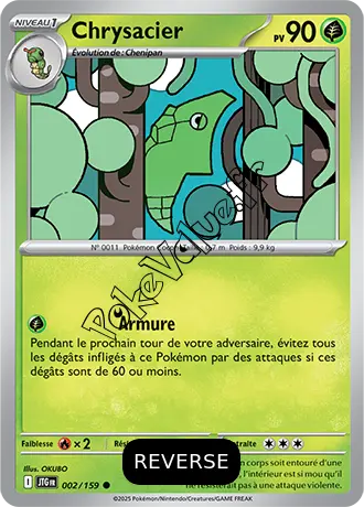 Carte Pokémon Chrysacier  Reverse n°002 de la série Aventures Ensemble
