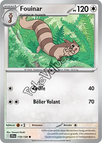 Carte Pokémon Fouinar  n°119 de la série Aventures Ensemble