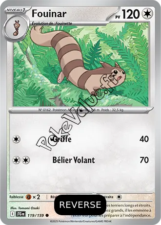 Carte Pokémon Fouinar  Reverse n°119 de la série Aventures Ensemble