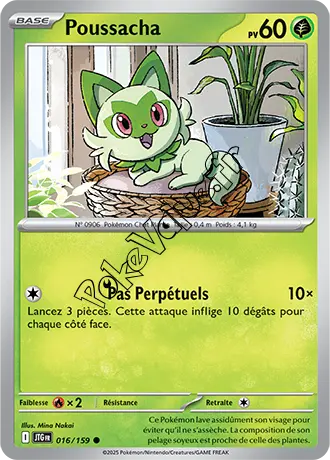 Carte Pokémon Poussacha  n°016 de la série Aventures Ensemble