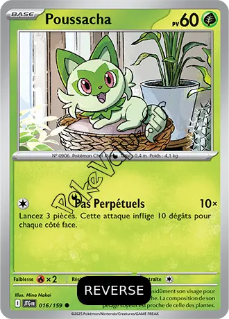 Carte Pokémon Poussacha  Reverse n°016 de la série Aventures Ensemble