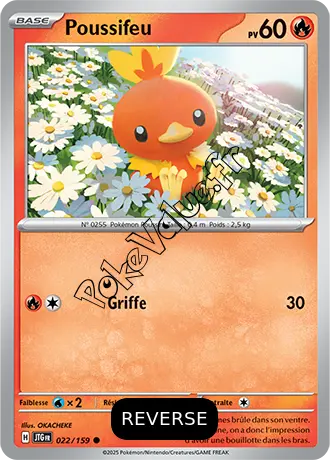 Carte Pokémon Poussifeu  Reverse n°022 de la série Aventures Ensemble