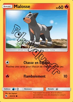 Carte Pokémon Malosse n°45 de la série Tonnerre Perdu