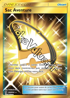 Carte Pokémon Sac Aventure n°228 de la série Tonnerre Perdu