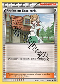 Carte Pokémon Professeur Keteleeria n°84 de la série Explosion Plasma