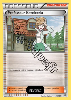 Carte Pokémon Professeur Keteleeria Reverse n°84 de la série Explosion Plasma